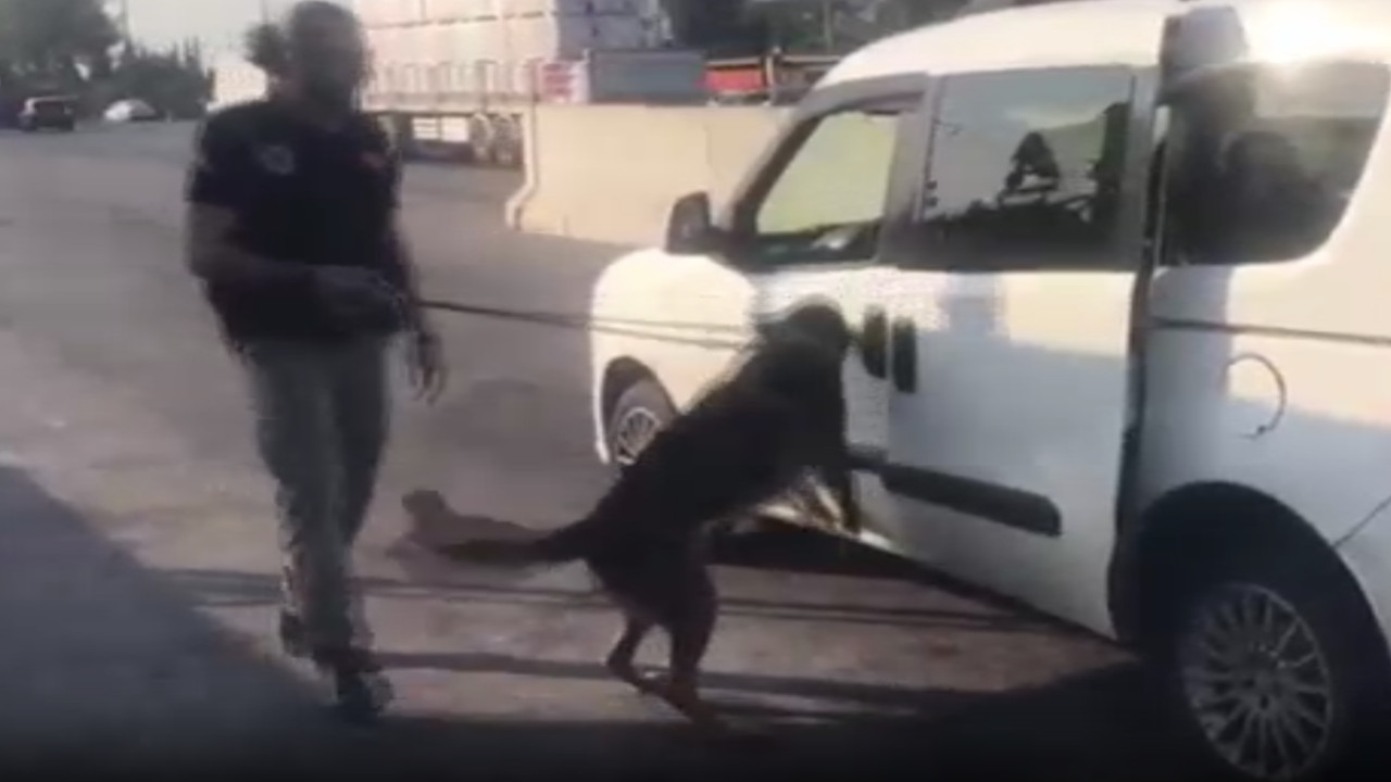 otomobile saklanan uyuşturucuyu narkotik köpeği ‘Aşil’ buldu